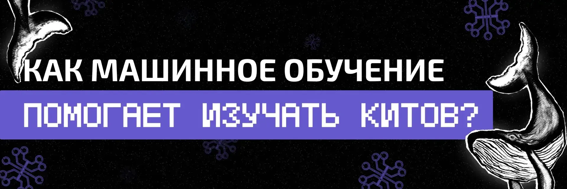 ВЕДы