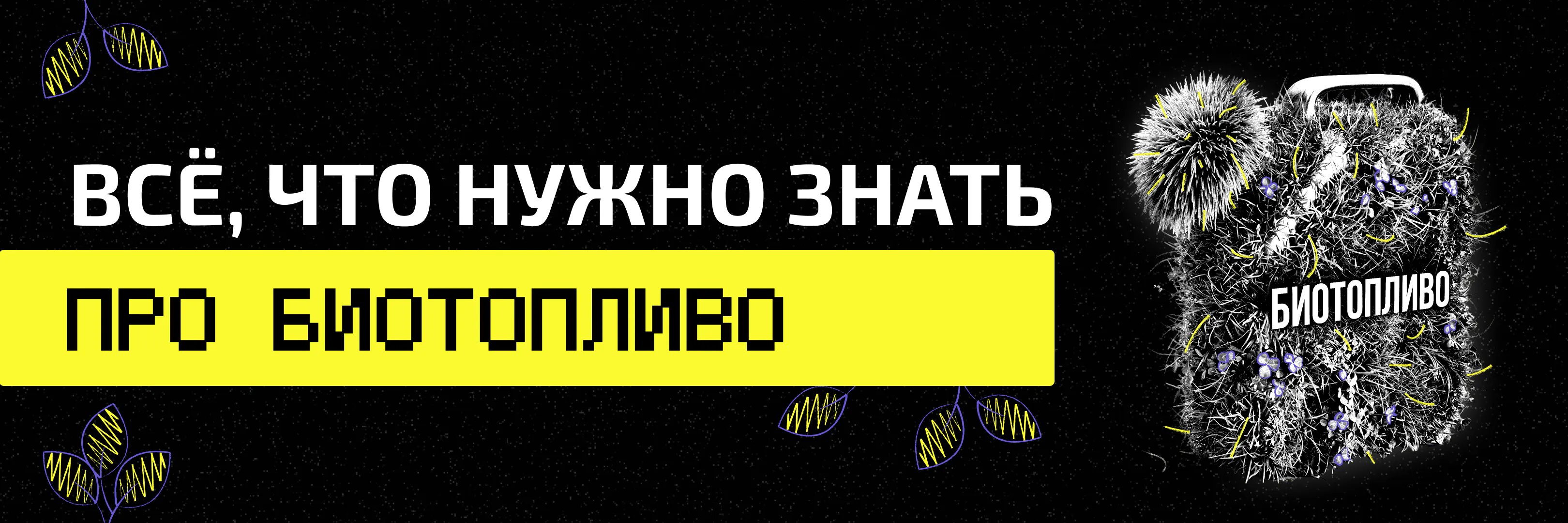 ВЕДы