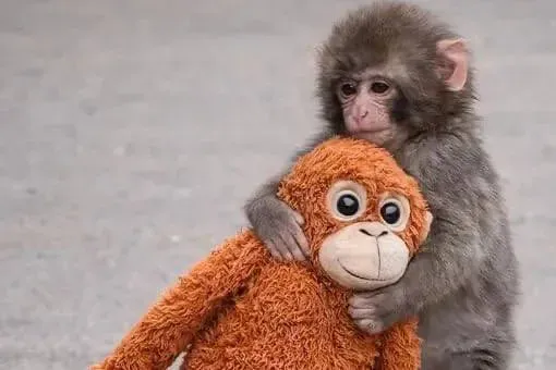 Из открытых источников