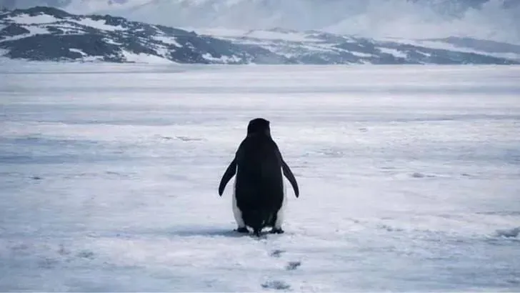 Из открытых источников