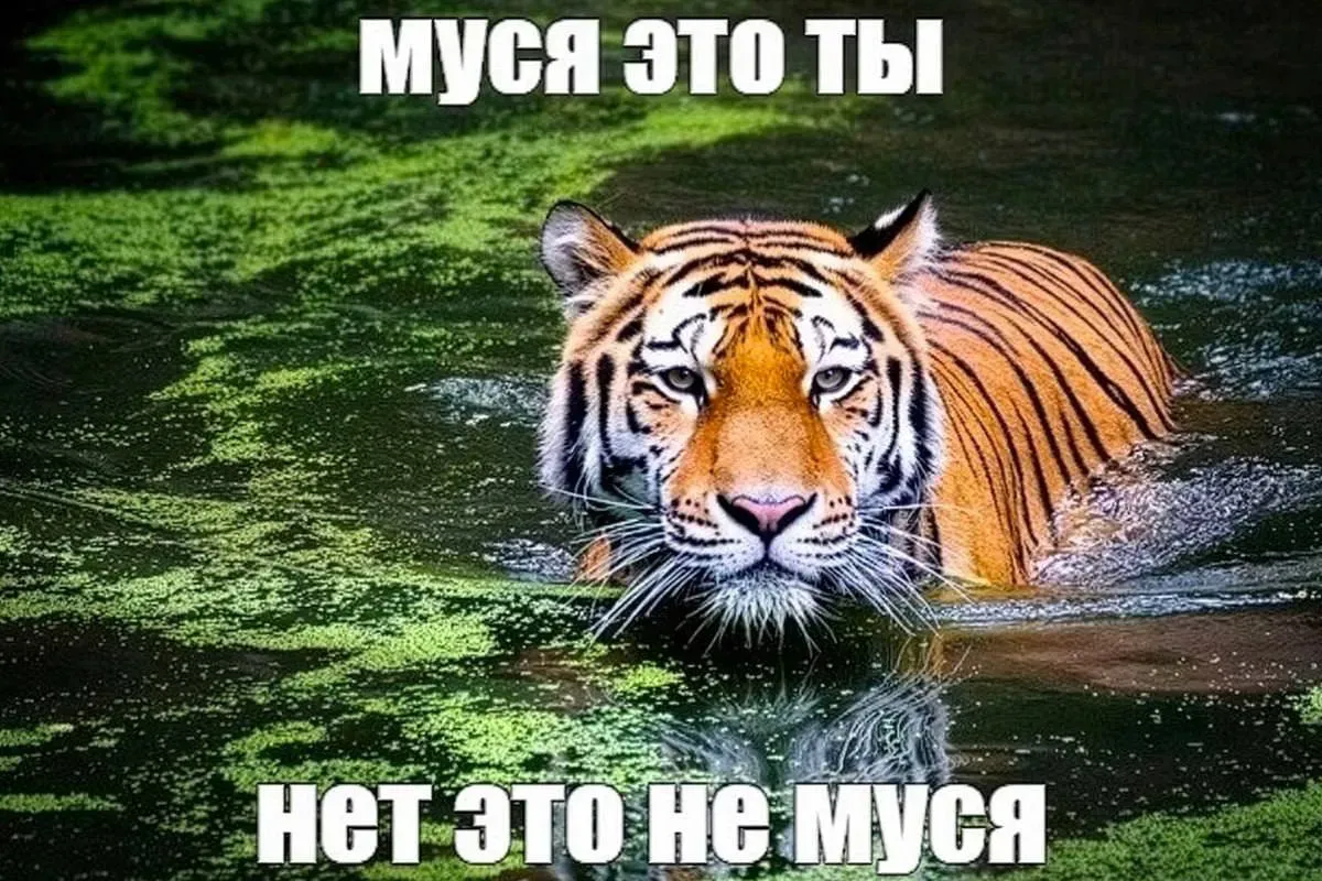 Из открытых источников